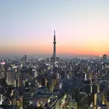 aerial view of Tokyo, Japan