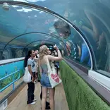 Students visiting aquarium in Sydney