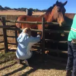 Volunteer tasks