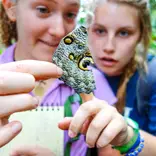Students studying a butterfly.