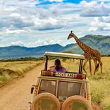 Safari jeep with giraffe in Tazania.