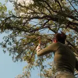 Tracking wildlife with VHF