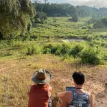 Conducting behavioural research on wild elephants in Kuiburi National Park