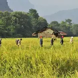 Volunteer in Laos