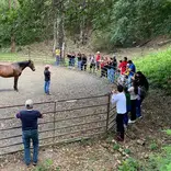 Students participate in interactive workshops focused on equine behavior, communication, and understanding horse body language through observation and hands-on learning