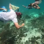 Students study seagrass baits