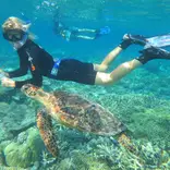 Turtle Conservation Project