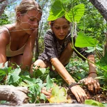 Sustainable Agriculture in Mexico