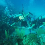 Students diving 