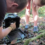 Interns conducting research in Costa Rica