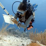 Student conducting underwater research in Mexico