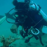 Student conducting marine research in Fiji 