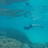 Student diving 