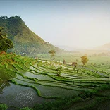bali-experience