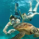 Interns diving with a sea turtle in Thailand