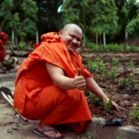 A monk working in a garden in Cambodia