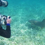 volunteer scuba diving in Belize
