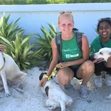 volunteers working with animals in Belize