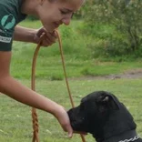 volunteer petting dog in Argentina