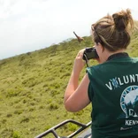 female volunteer taking a photo of wildlife in Kenya