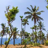 You'll be located in Seraya beach in the North East Bali, beautiful area relatively un-tracked by tourists