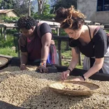 Work on a coffee farm in Tanzania