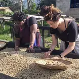 Work on a coffee farm in Tanzania