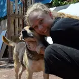 Stray Dog Project Peru