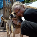 Stray Dog Project Peru