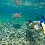 man snorkelling with a turtle