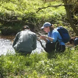 Ecology Internships Abroad in Scotland