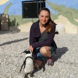 Penguin Conservation