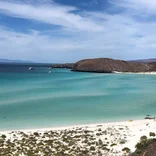 Crystal clear, white-sand coastline where our conservation efforts are focused.