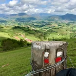 Verdant Spanish countryside and a trail marker along the Camino de Santiago