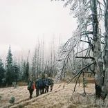 Students backpacking through the Pasayten Wilderness.
