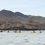 A group of students paddle the shoreline of Baja California Sur.