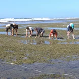 Master of Marine Conservation