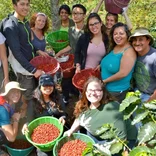 Sustainable Organic Coffee Farming