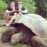 Ecuador - Giant Tortoise