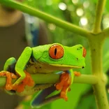 Enviromental conservation with INLEX