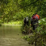 Amazon conservation volunteers trekking through the jungle