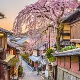 CIEE Kyoto Summer Program