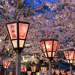 CIEE Kyoto Semester Program