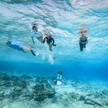 Snorkeling students in shallow waters