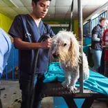 Volunteer in Guatemala with IVHQ
