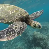 Environmental Internships with Intern Abroad HQ