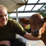 Agricultural livestock