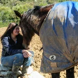 Volunteer at the Horse Project in Andalusia