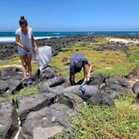 Volunteers cleaning the beaches of San Cristobal