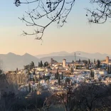 Arcadia in Granada